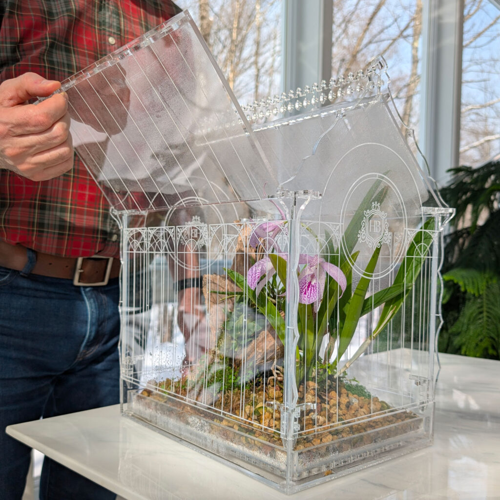 Hanami Botanic Terrarium Victorien