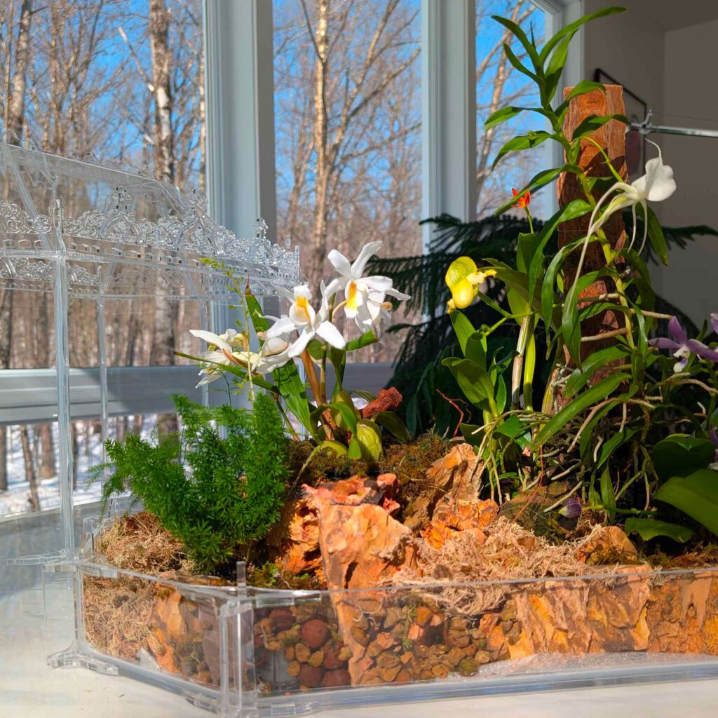 Hluboka Castle Terrarium