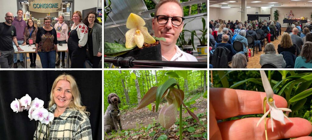 Association des Orchidophiles de Quebec