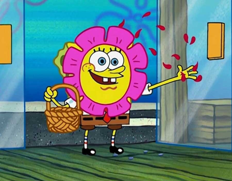 SpongeBob Orchid