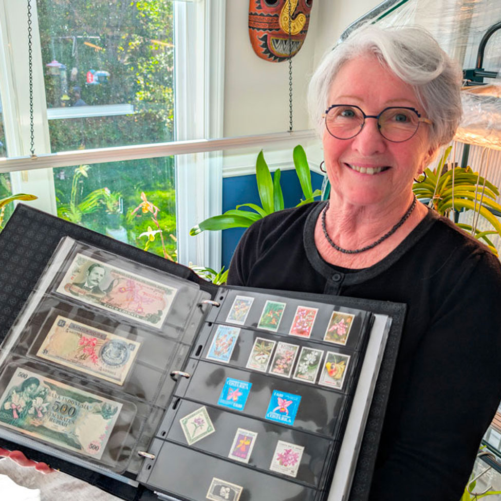 Lise collection timbre orchidee