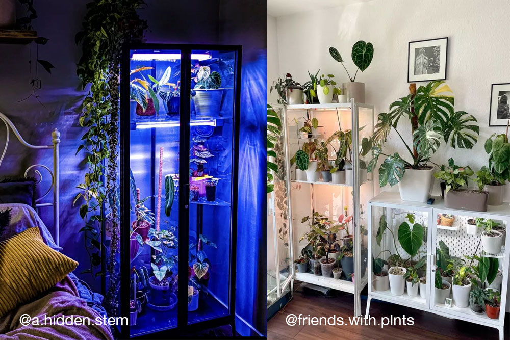armoire orchidee inspiration