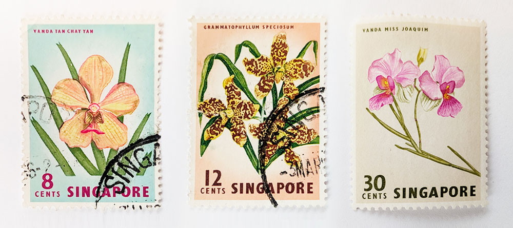 timbre orchidee singapour 1