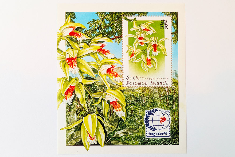 timbre orchidee singapour 10