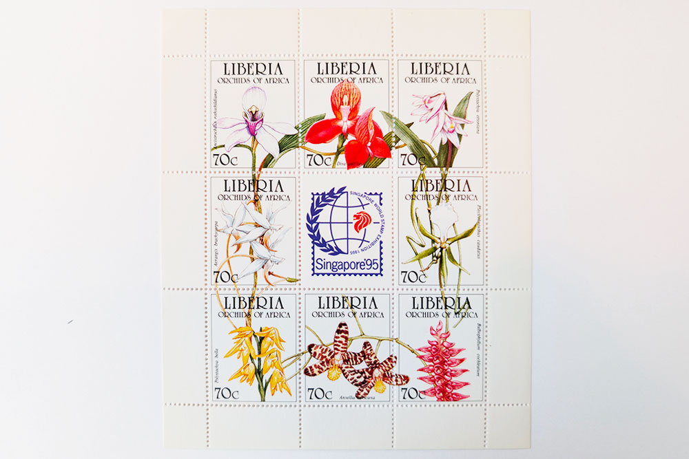 timbre orchidee singapour 12