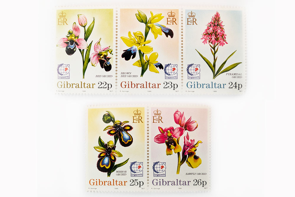 timbre orchidee singapour 7