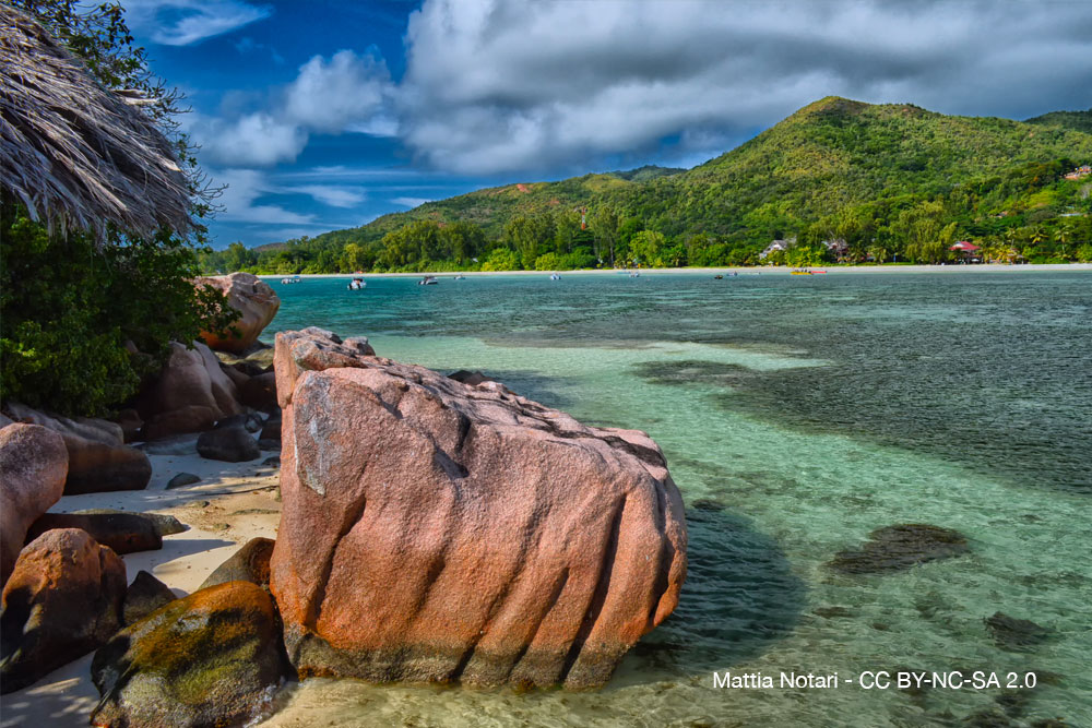 Seychelles orchidees quebec