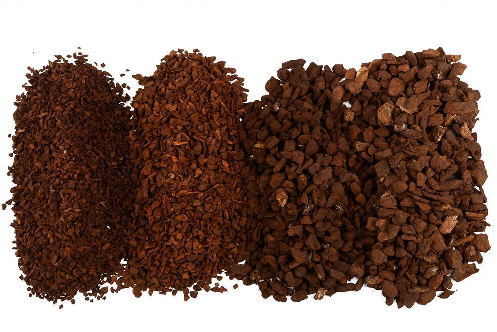 Orchiata culture Orchidee Quebec