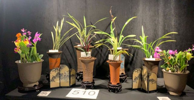 OrchidExpo-11 OrchidExpo 11 1024x530