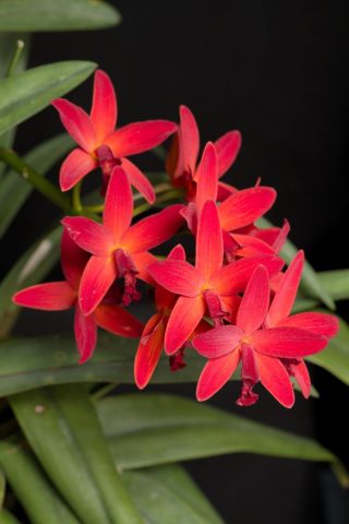 _DSC9820 DSC9820 682x1024