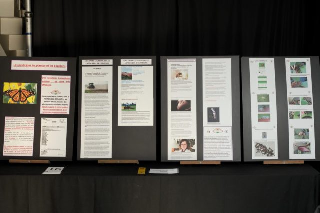 Educatif LeParadisDesOrchidées 1024x682