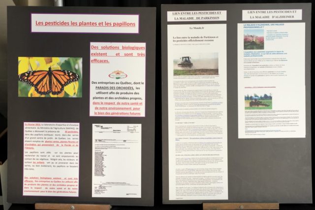 Educatif LeParadisDesOrchidées1 1024x682