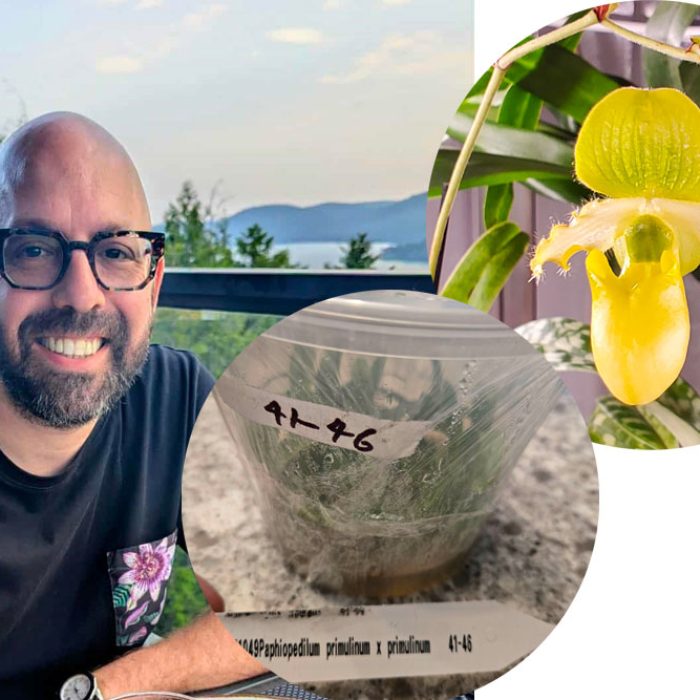 Flask-orchidee-Sebastien-2