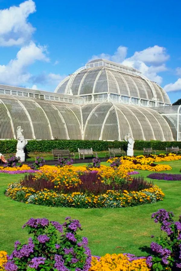 Orchidee-Kew-Gardens