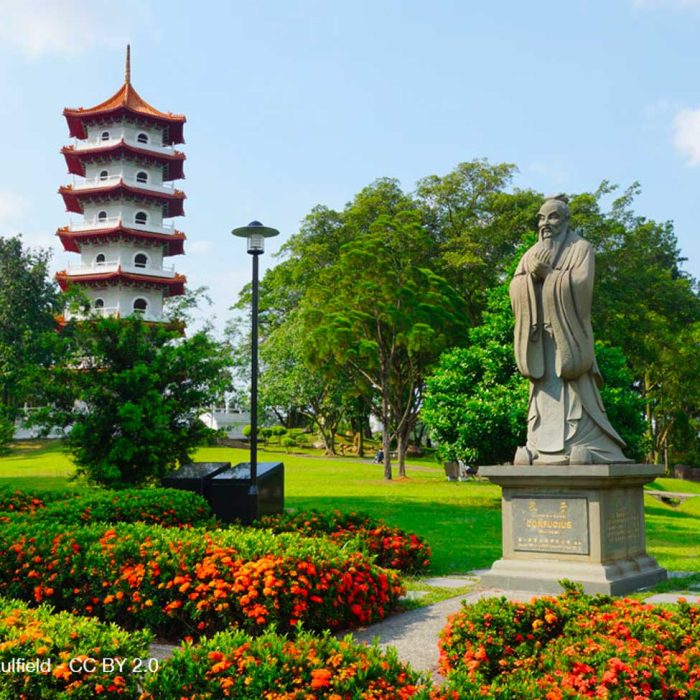 singapour-orchidee